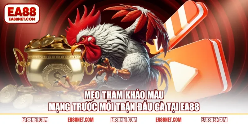 Mẹo tham khảo màu mạng trước mỗi trận đấu gà tại EA88