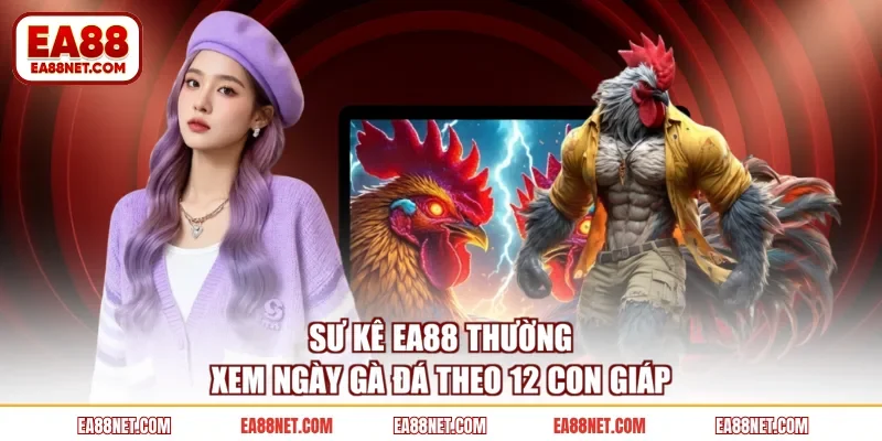 Sư kê EA88 thường xem ngày gà đá theo 12 con giáp