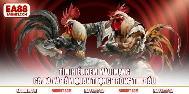 Tìm hiểu xem màu mạng gà đá và tầm quan trọng trong thi đấu